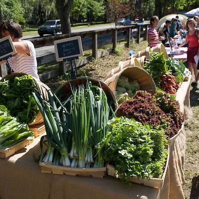 thumbnail for publication: Opinion Leadership and the Perceived Economics of Local Food